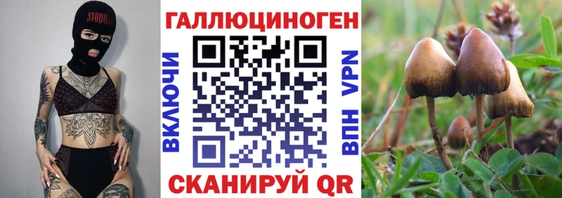Псилоцибиновые грибы мухоморы  Полярные Зори 
